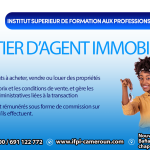 Le Métier d’Agent Immobilier Au Cameroun